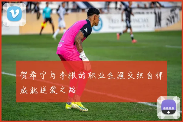 贺希宁与李根的职业生涯交织自律成就逆袭之路