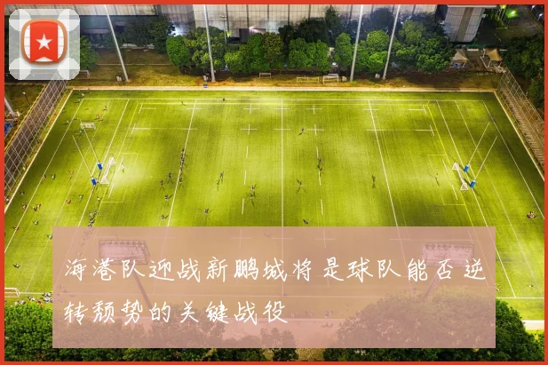 海港队迎战新鹏城将是球队能否逆转颓势的关键战役